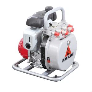 Double Output Motor Pump