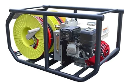 3-Stage Double Output Motor Pump